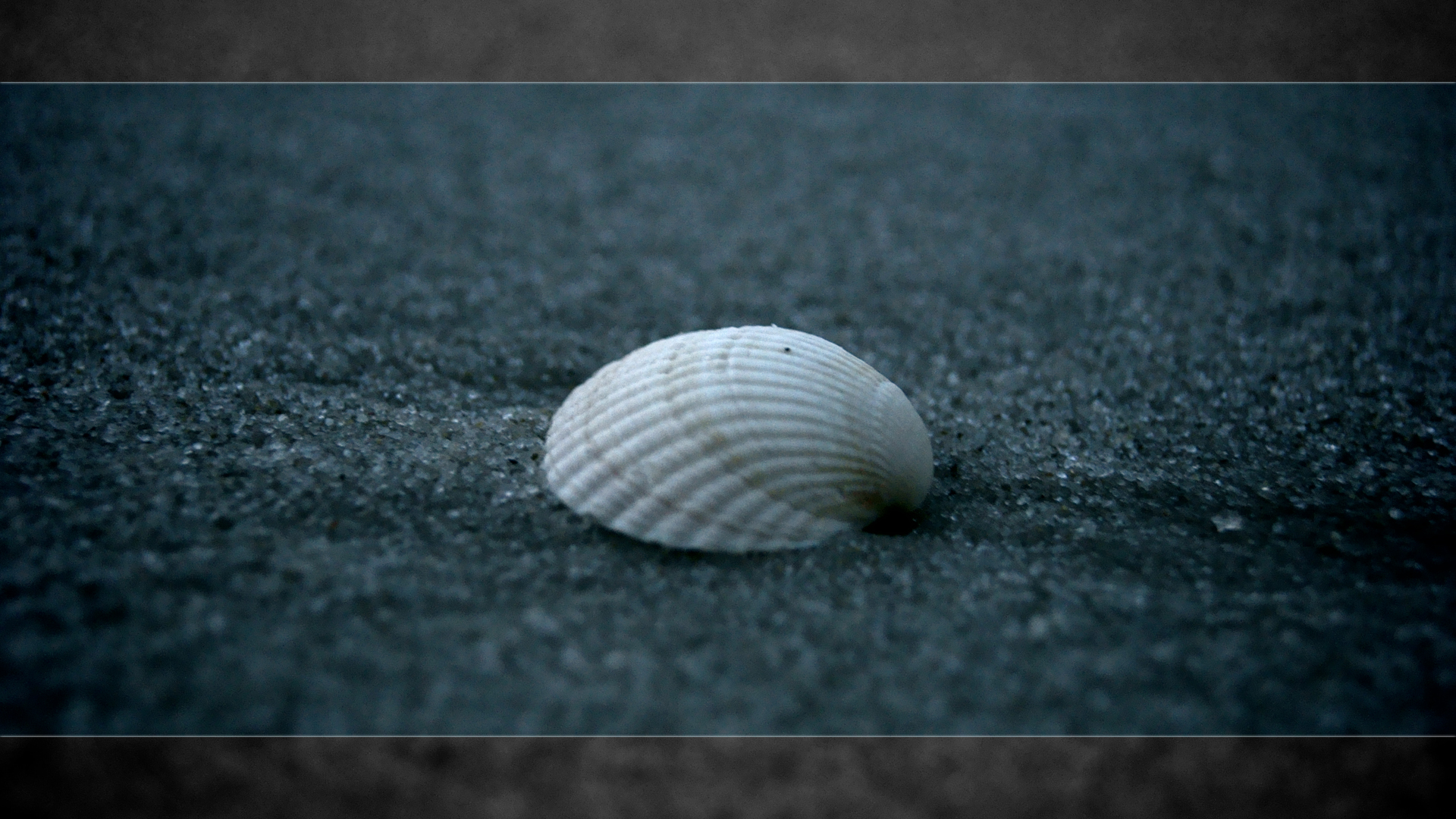 shell