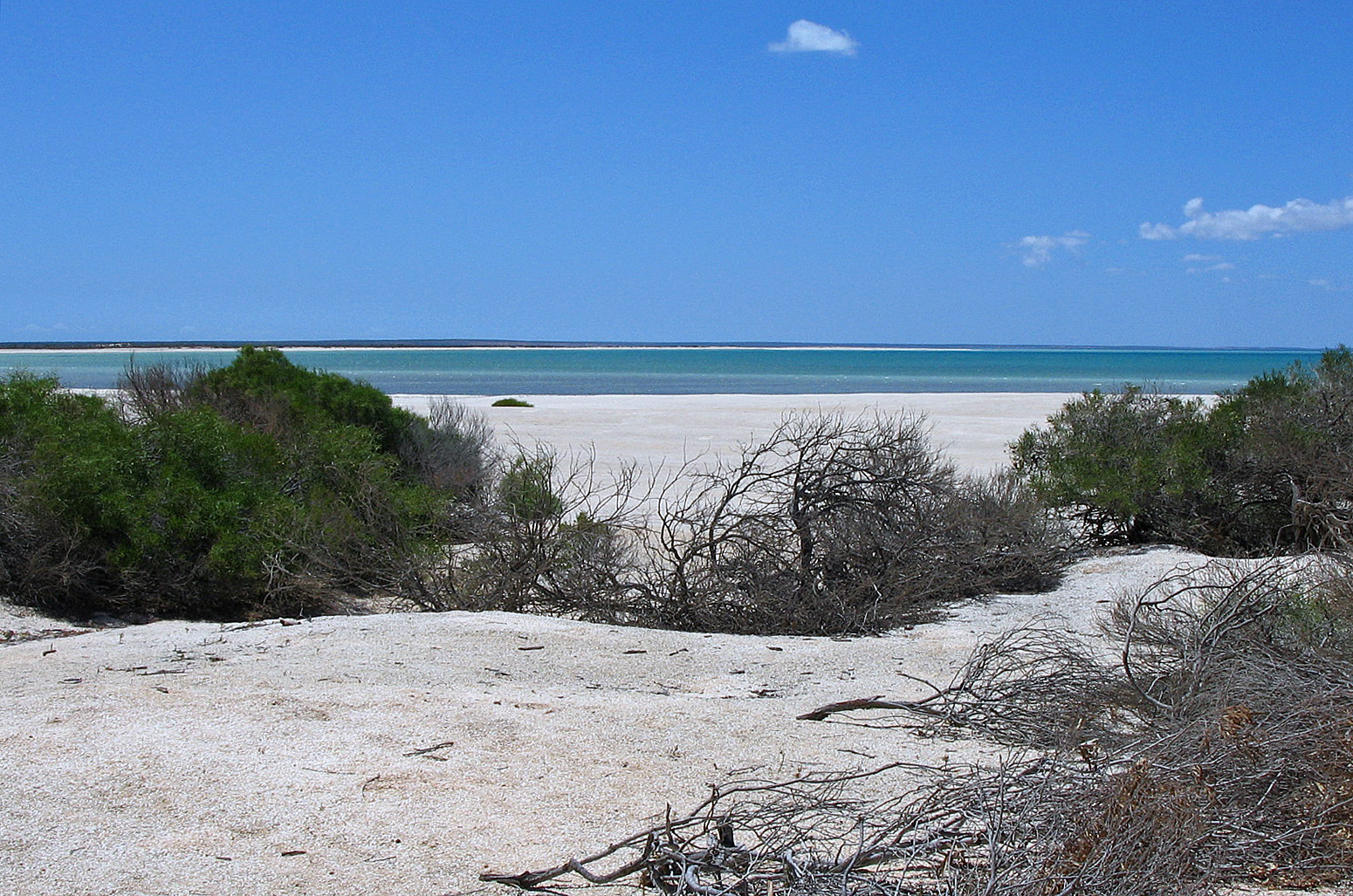 Shell Beach