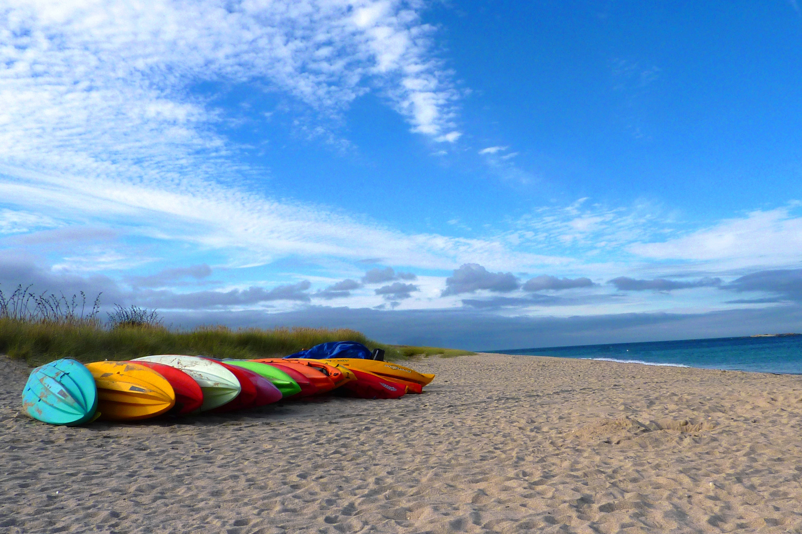 Shell Beach