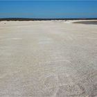 * Shell Beach / shark bay WA *