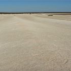 * Shell Beach / Shark Bay WA *