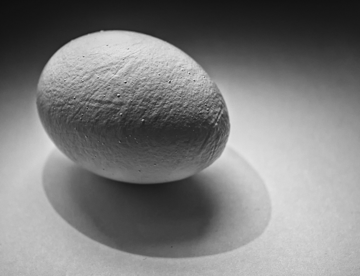 ... shell egg ...