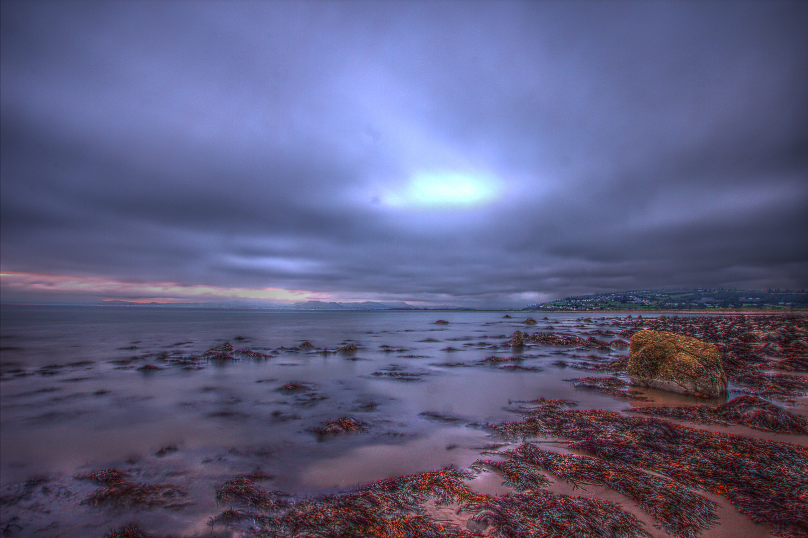 Shell-Island Wales 2012