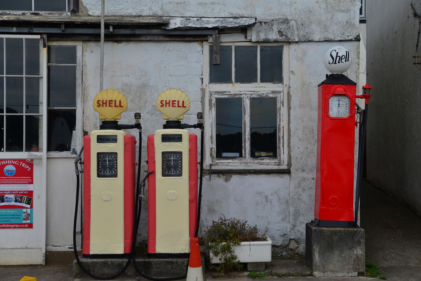 [ Shell, St. Mawes I ]