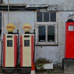 [ Shell, St. Mawes I ]