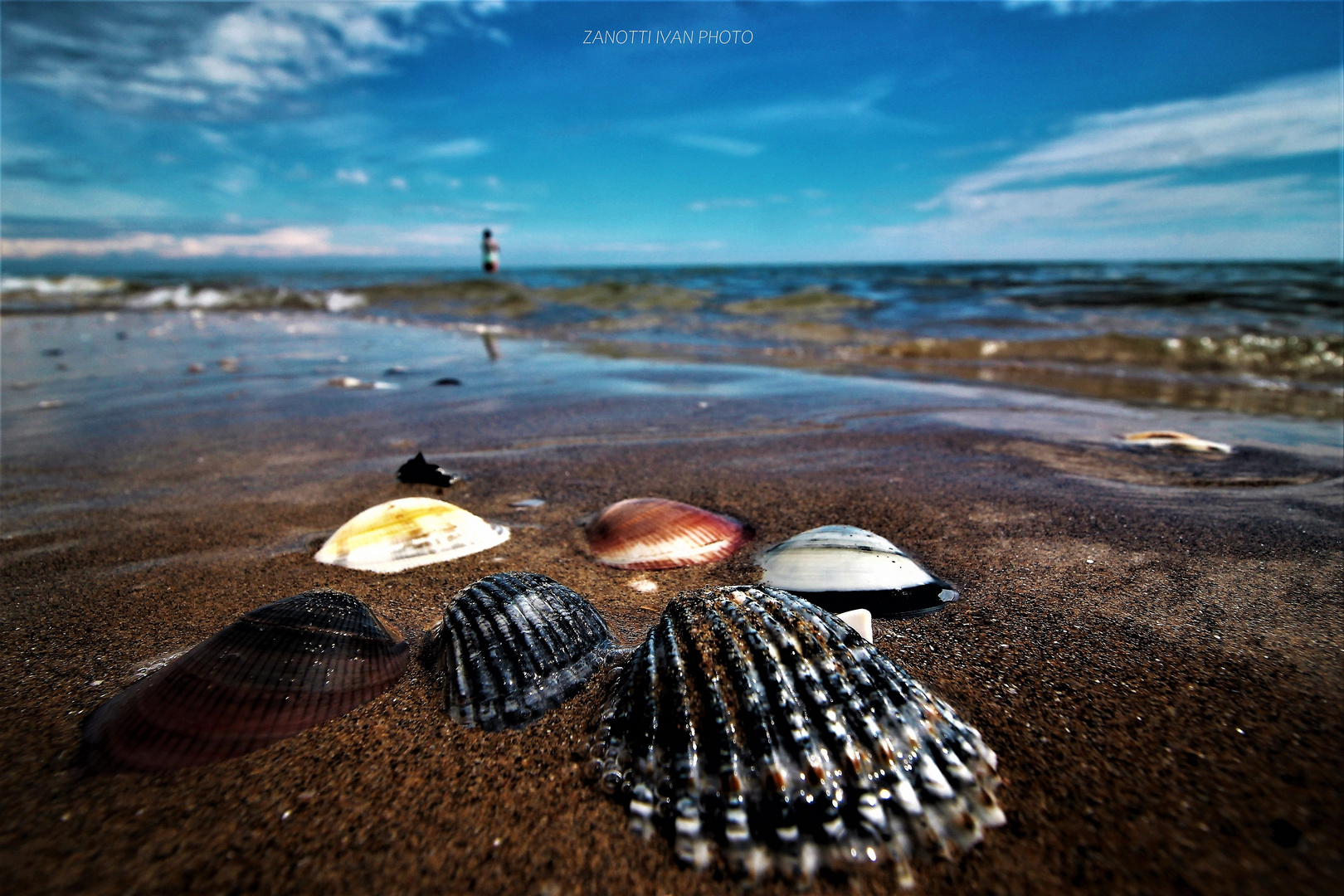 Shells