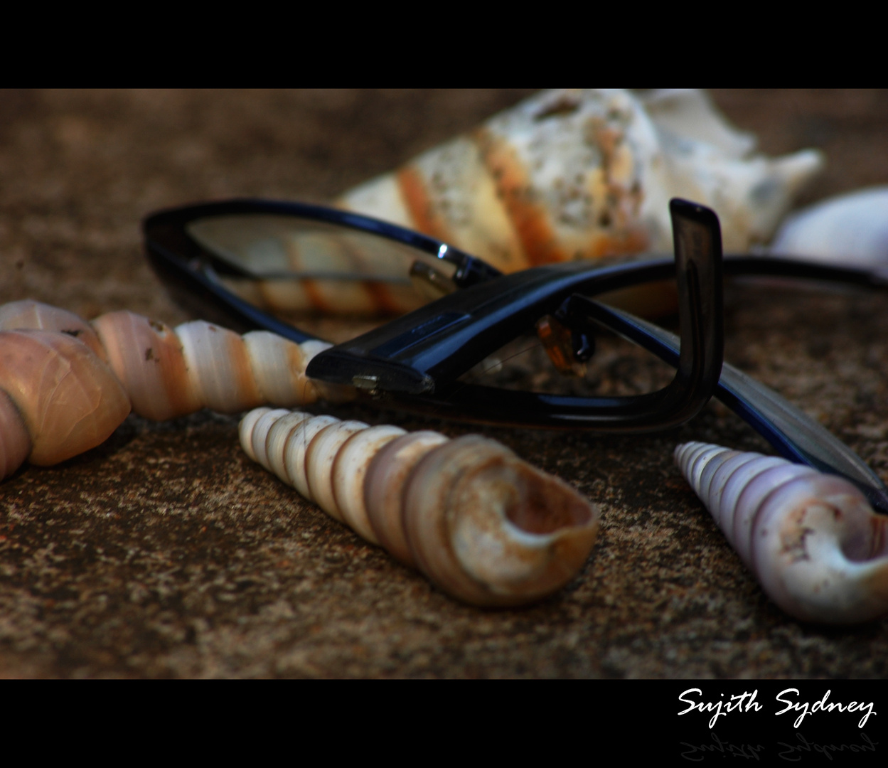 shells