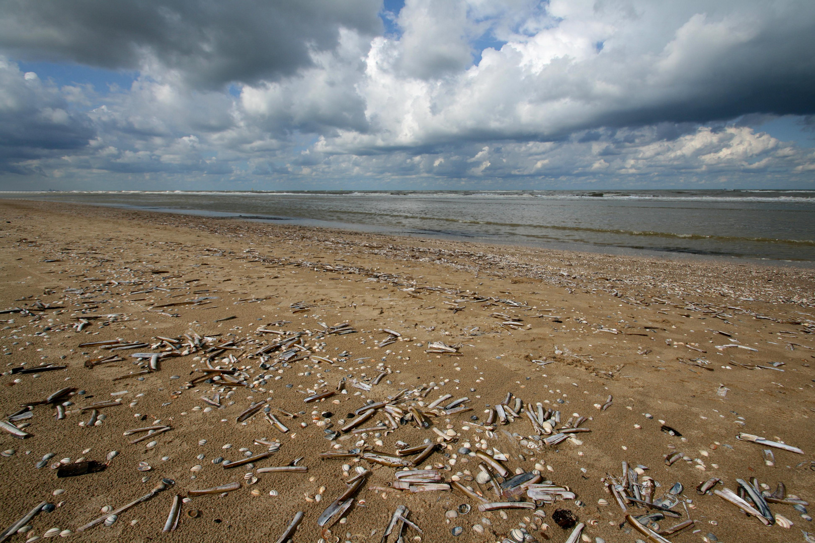 Shells and clouds