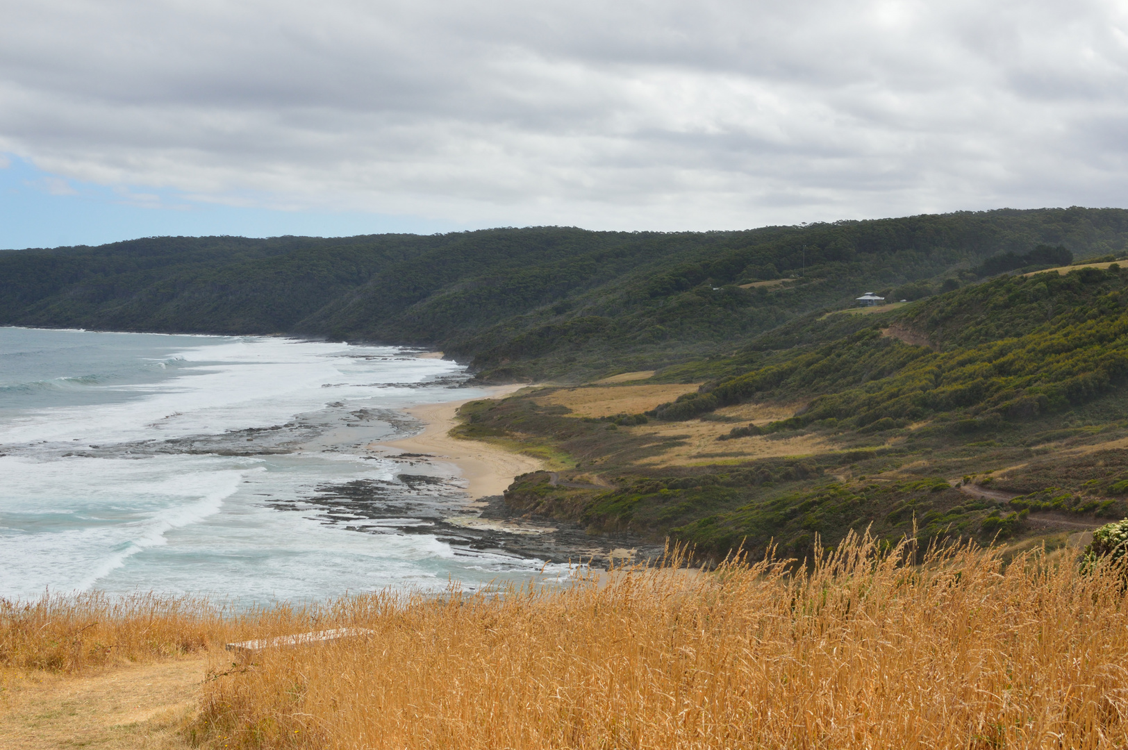 Shelly Beach