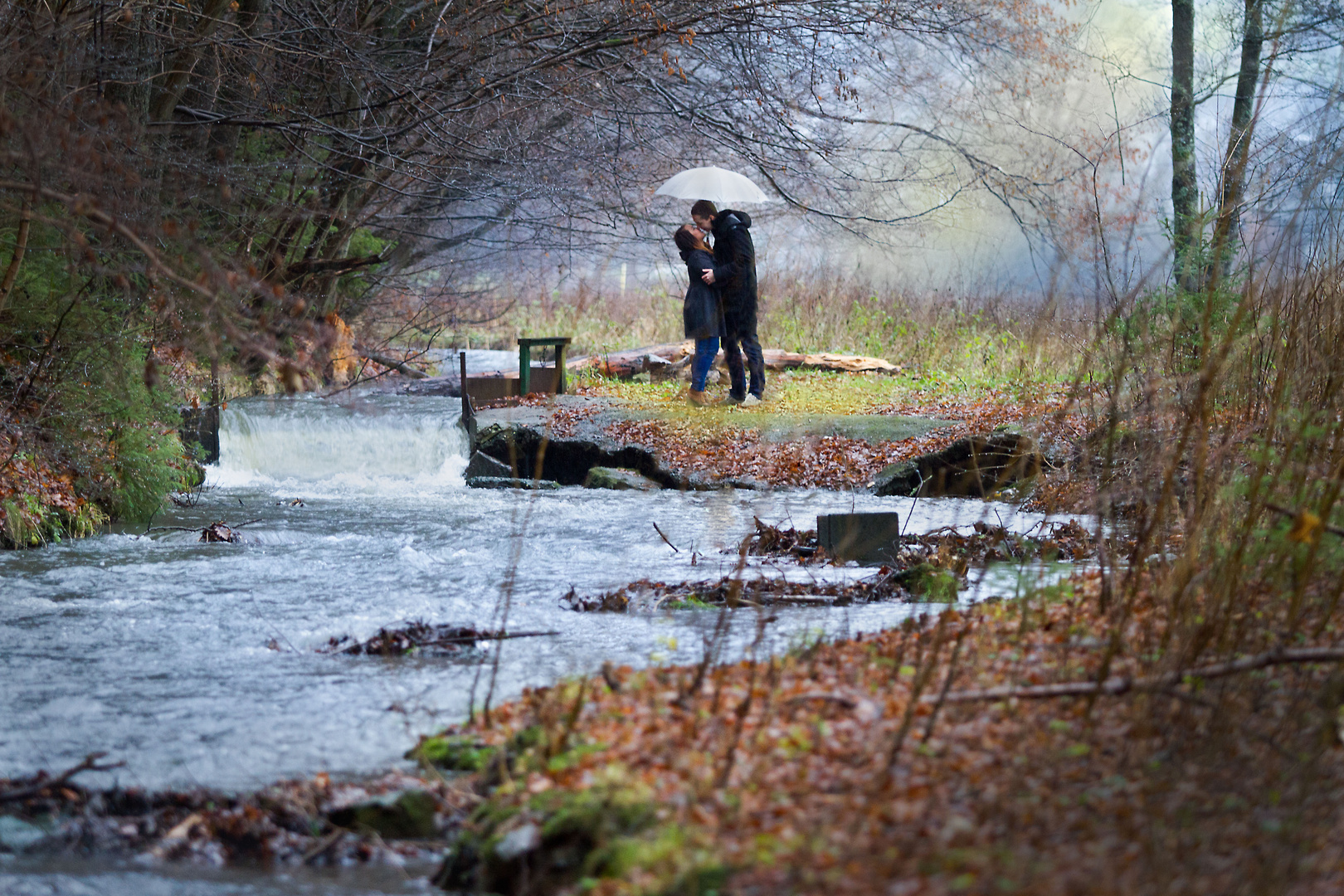 sheltered romance