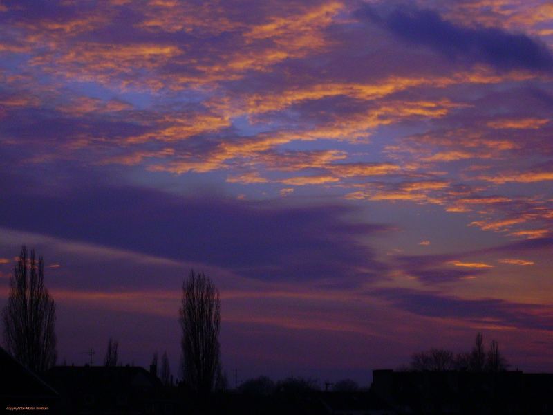 Sheltered Sky in Düsseldorf