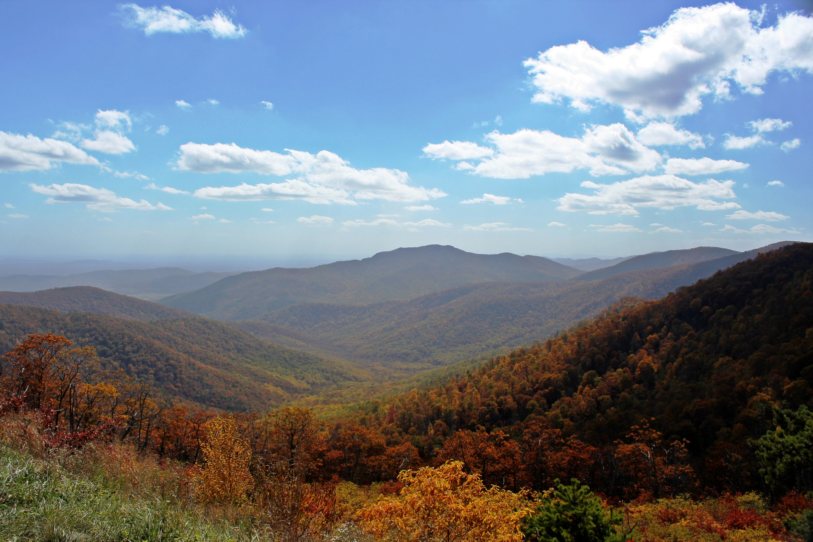 Shenandoah National Park