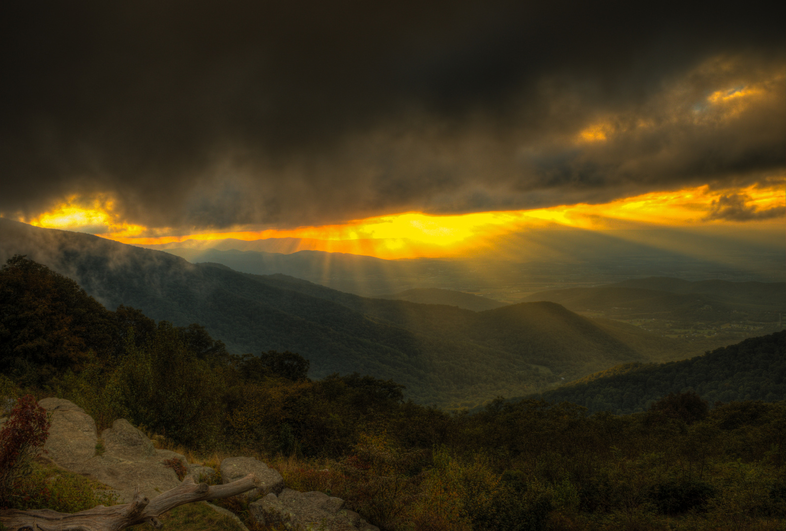 Shenandoah National Park  - Skyline Drive 1