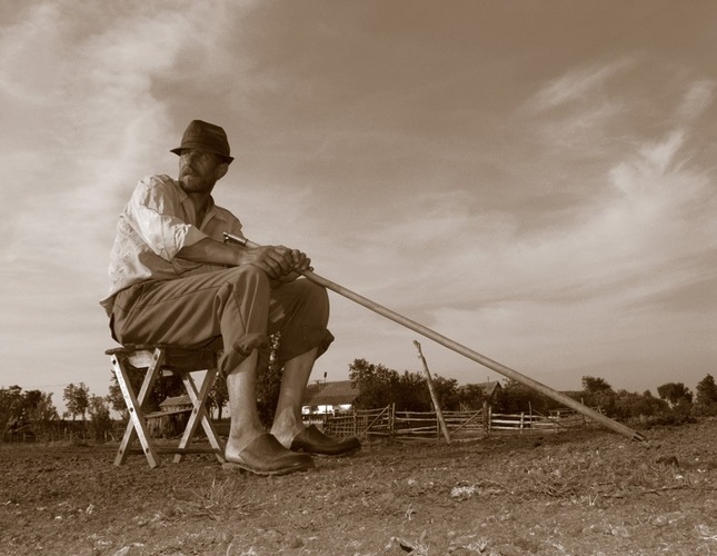 Shepherd 2/(photo No.4) or Expecting a rain (foto No.2)