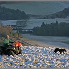 shepherd above hethpool