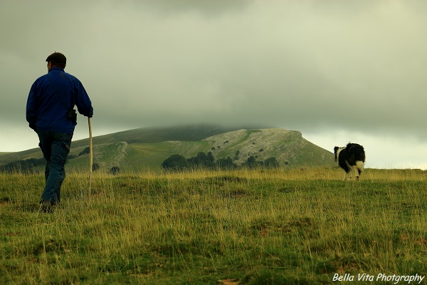 Shepherd and his dog