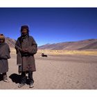 Shepherd at 5000 m, Ladakh India