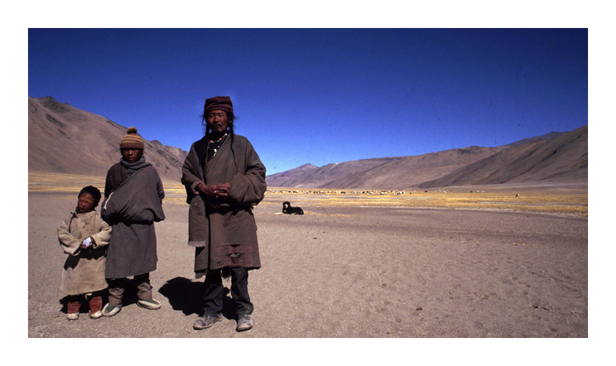 Shepherd at 5000 m, Ladakh India