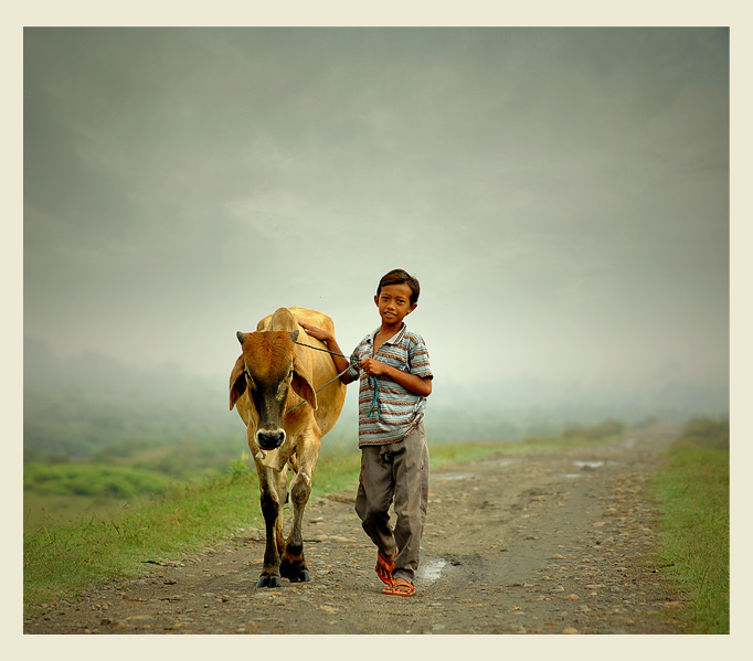 shepherd boy