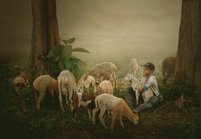 shepherd boy