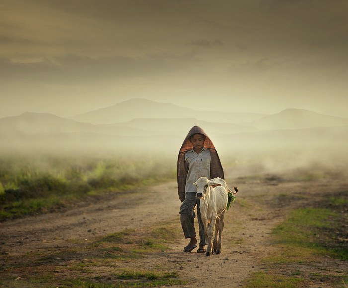 Shepherd boy