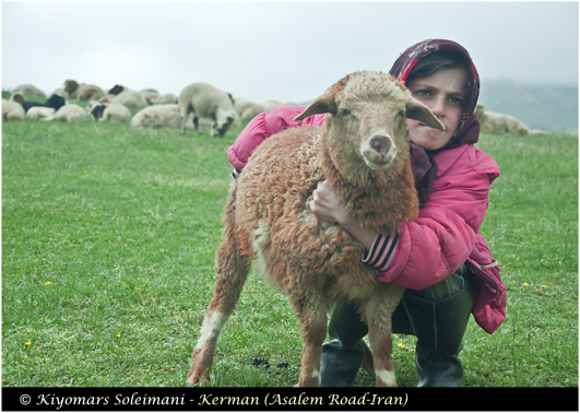 Shepherd Girl