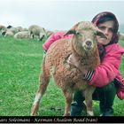 Shepherd Girl