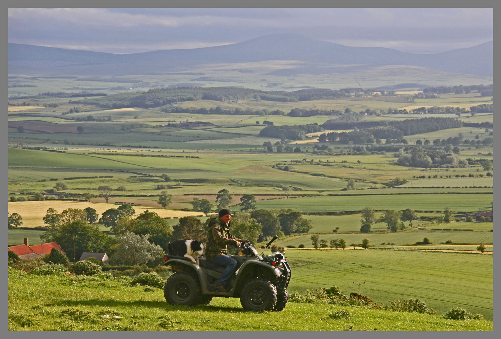 Shepherd in front of the Cheviot Hills at Bowden Doors