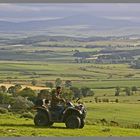 Shepherd in front of the Cheviot Hills at Bowden Doors