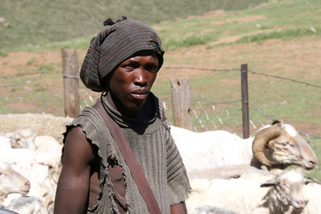 shepherd in lesotho mountains