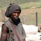 shepherd in lesotho mountains