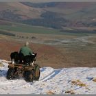 shepherd near hethpool 2