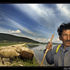 Shepherd Salih...