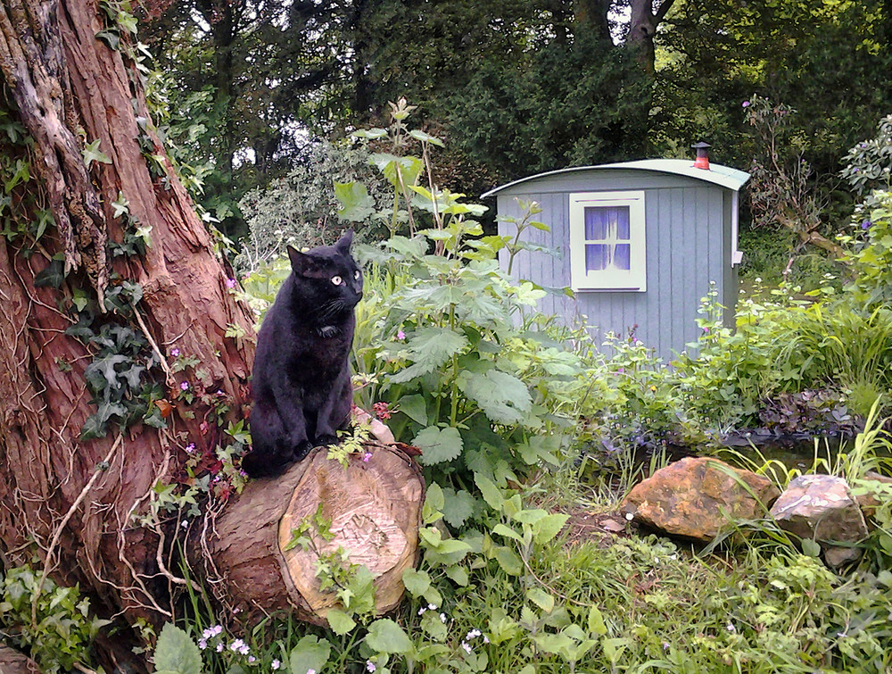 Shepherd´s Hut