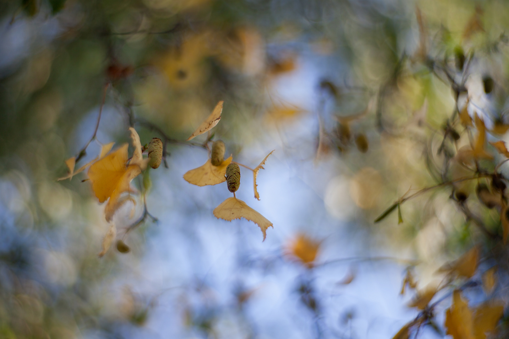 s´herbstelet 