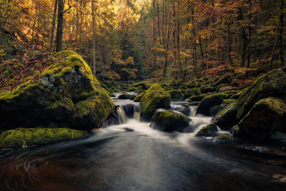 s´Herbstgwand übergstreift