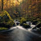 s´Herbstgwand übergstreift