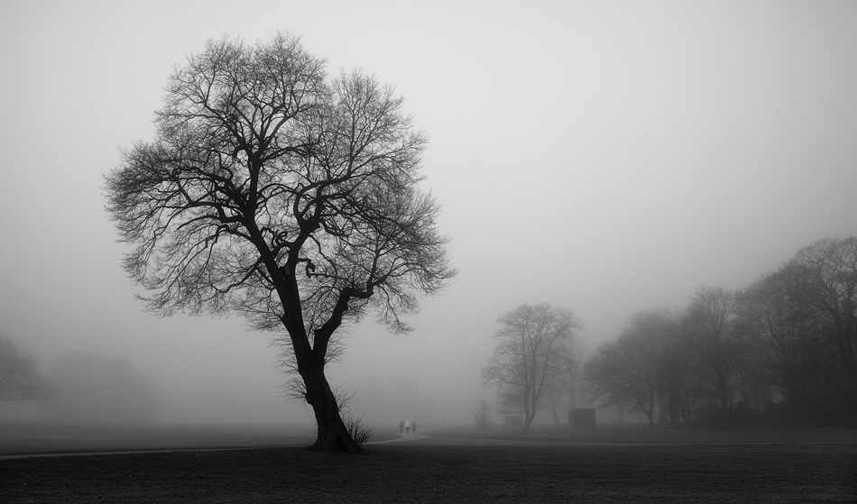 Sherdley Park