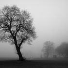 Sherdley Park