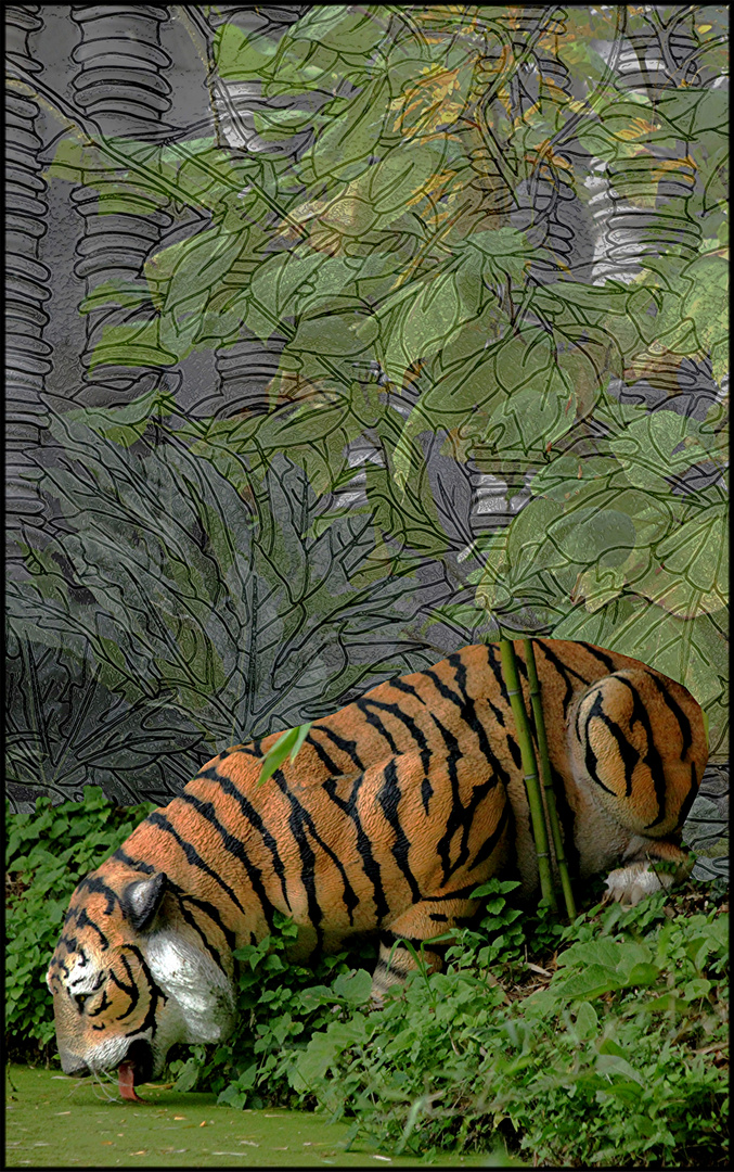 SHERE KHAN ORIGINAL JPEG