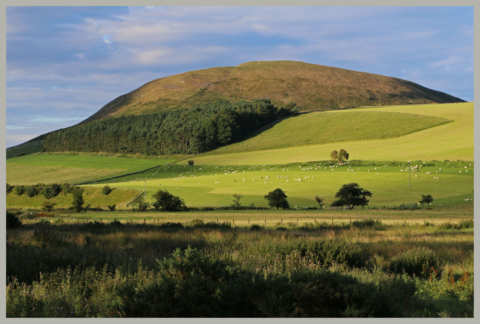 Shereburgh in the cheviot Hills