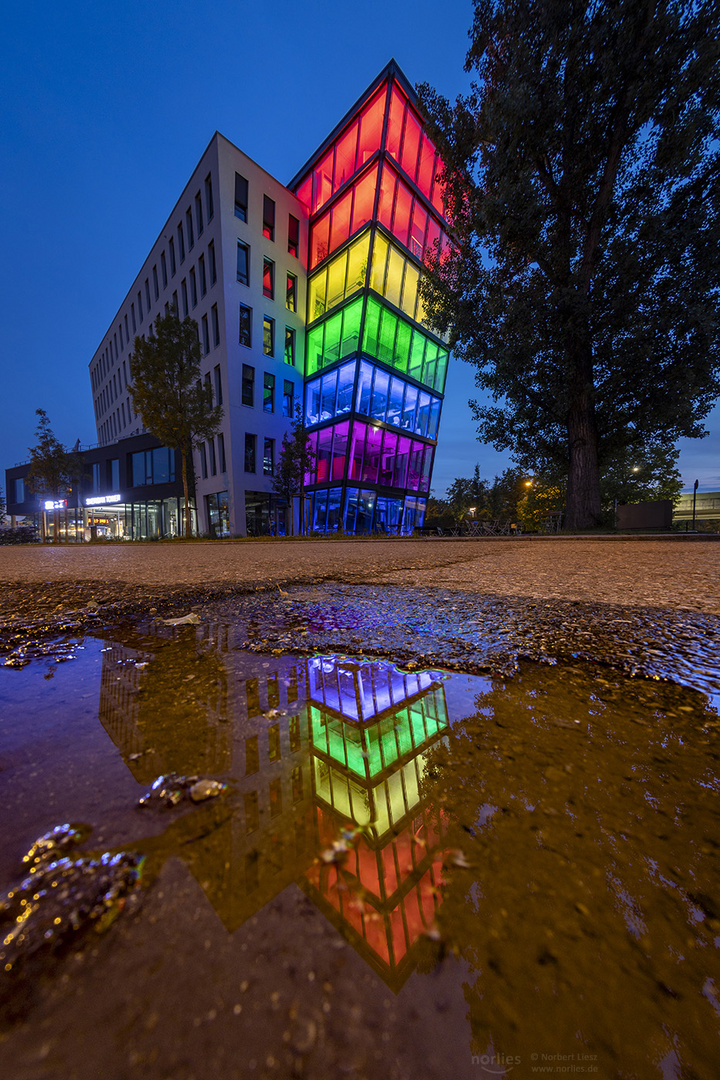 Sheridan Tower reflection