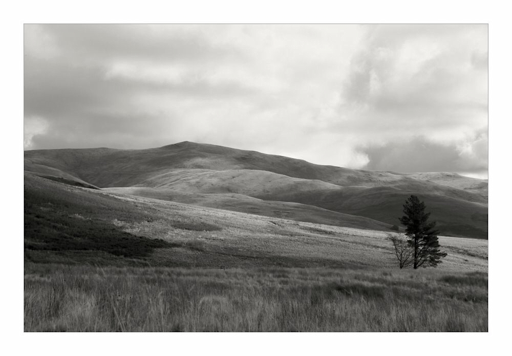 Sheriffmuir