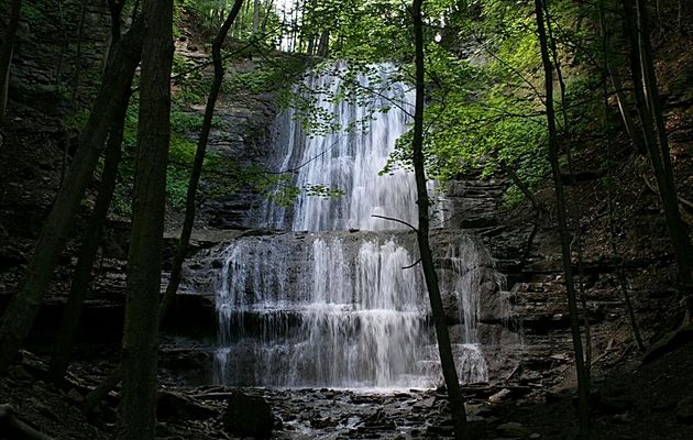 Sherman Falls #1