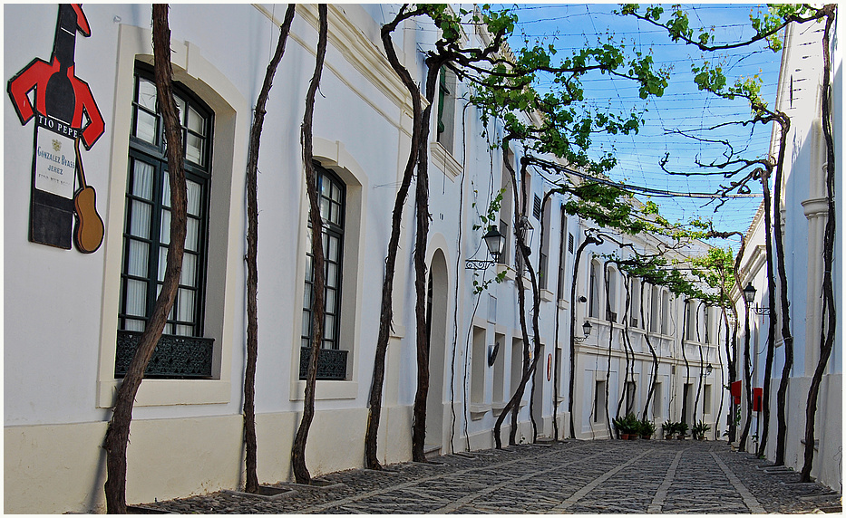 Sherry Bodega Gonzalez Byass 2 - Jerez