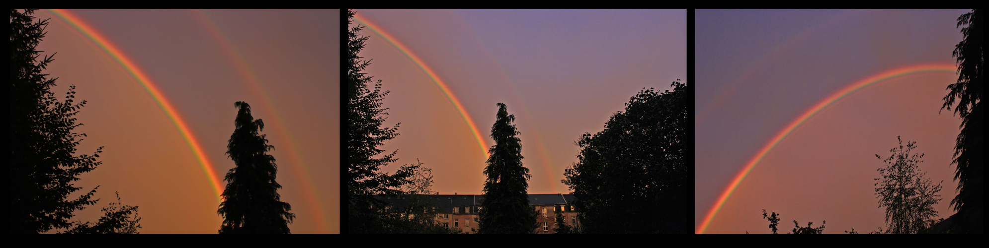 She's a Rainbow