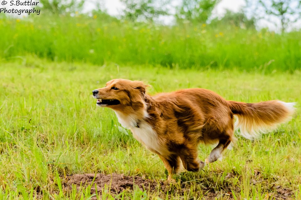 She´s like the wind