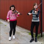 Shetland Fiddles