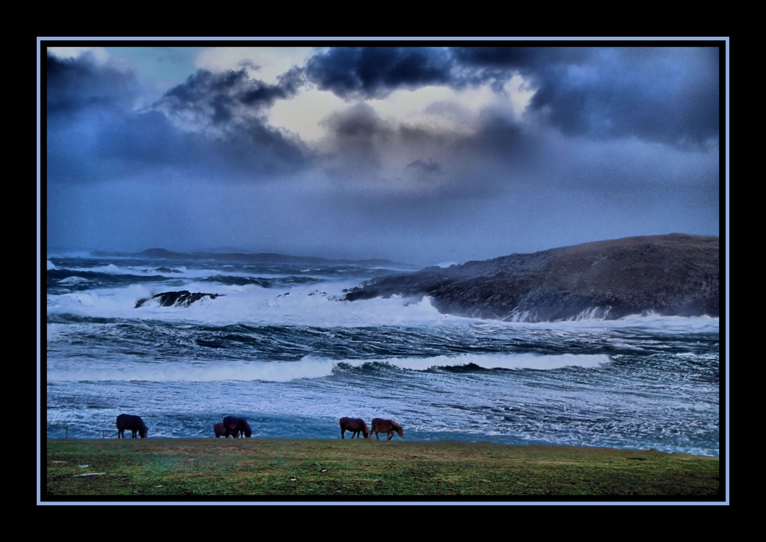 Shetland my home