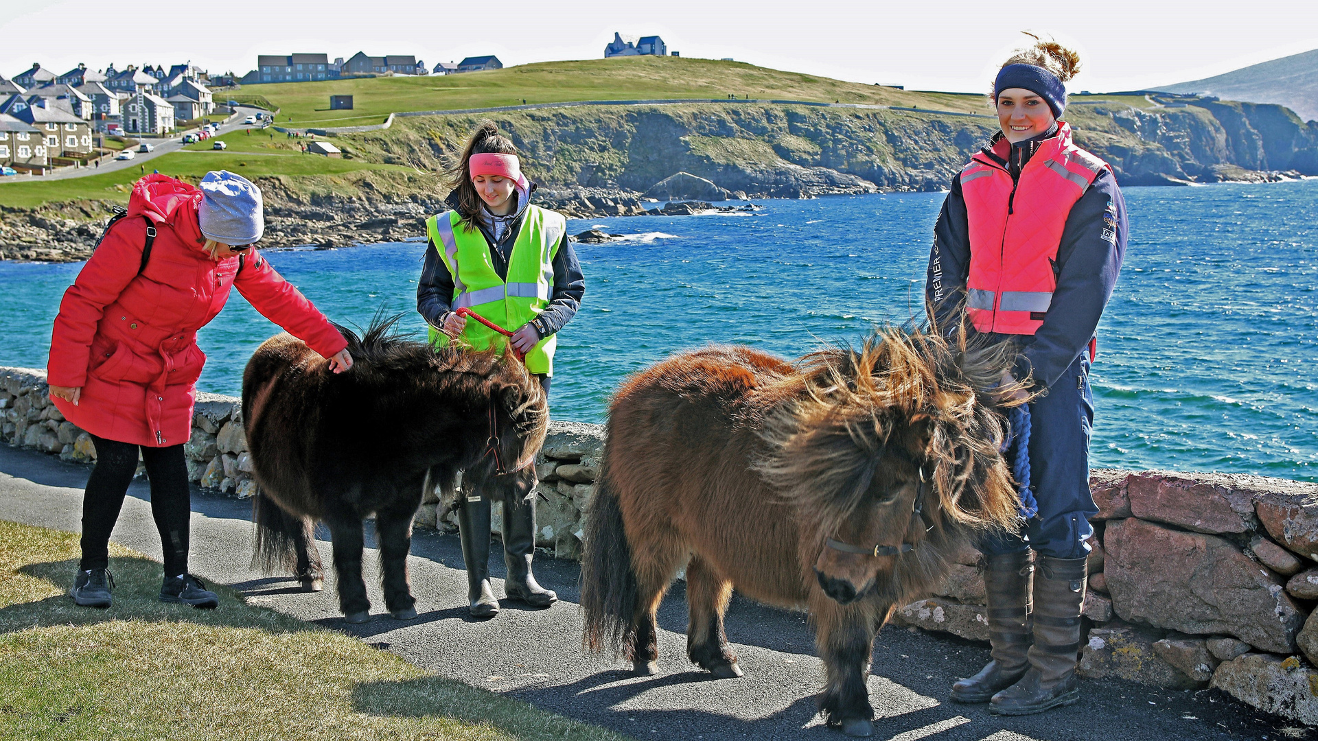 Shetlandponys - werden geliebt von den Mädchen